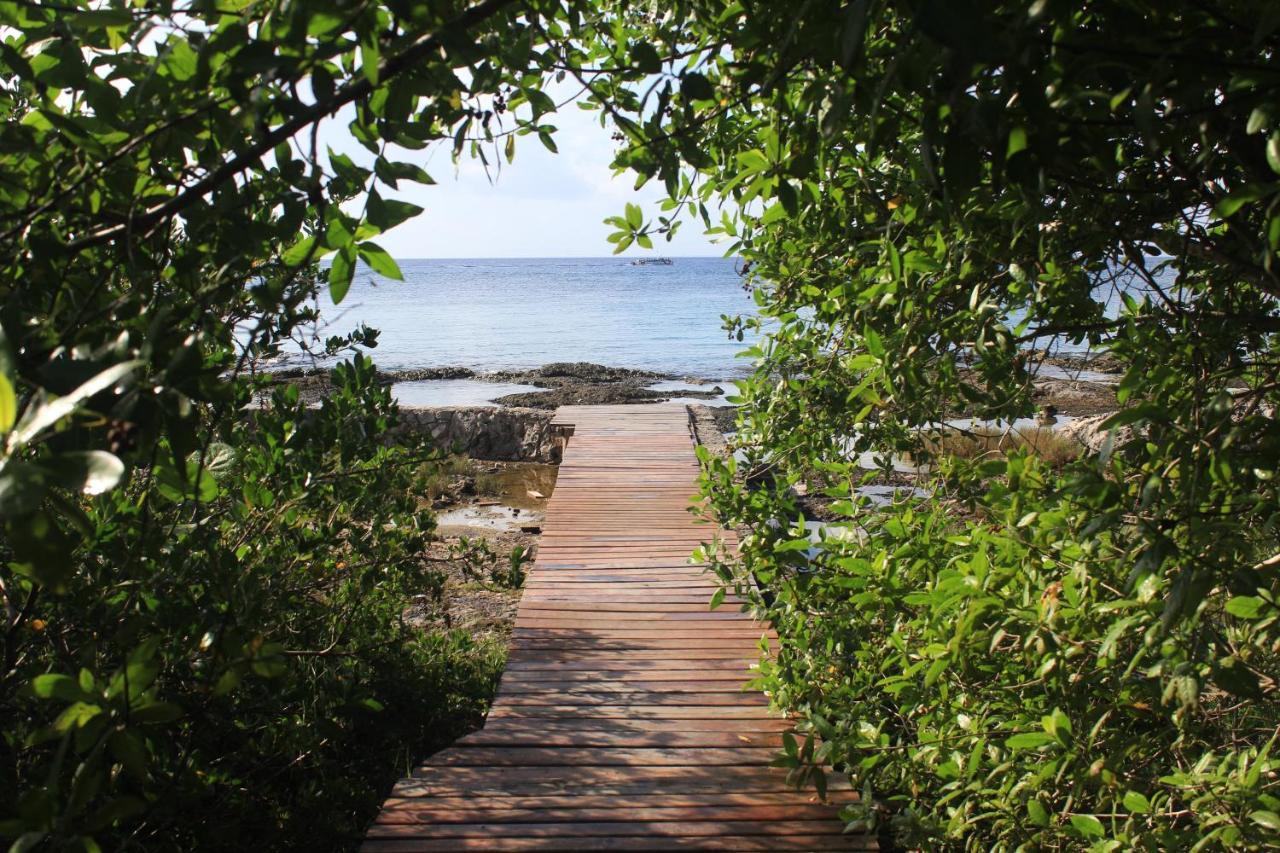 Amplio Estudio En Cozumel, Condominio Privado E12 Exteriör bild